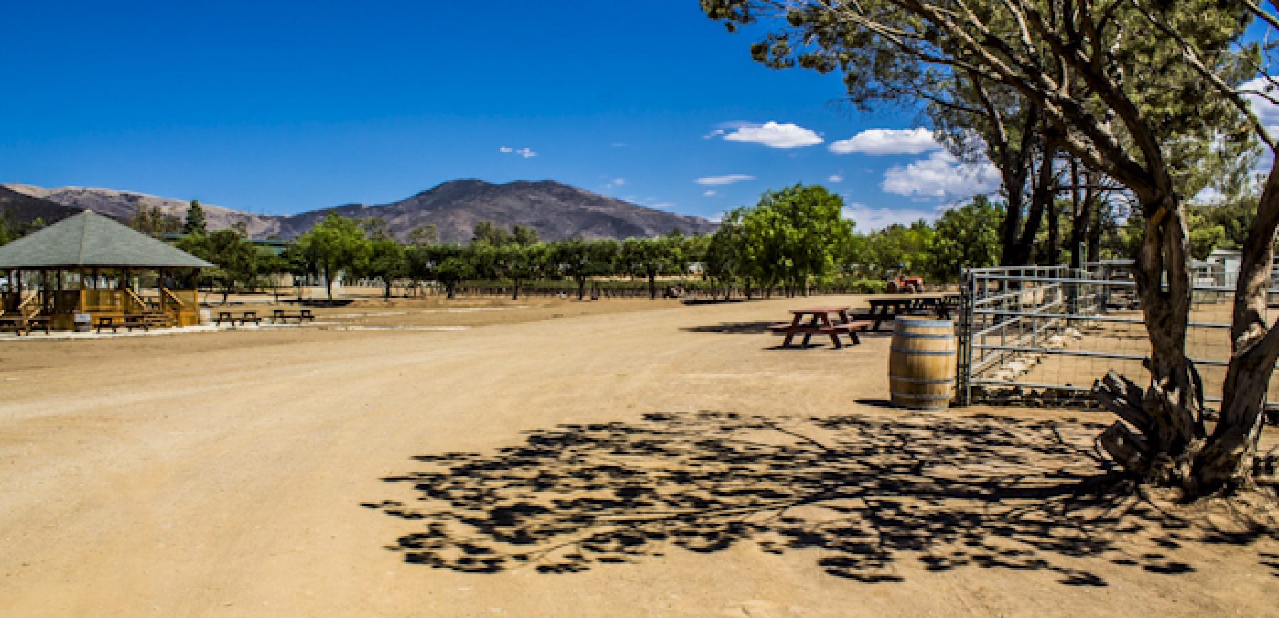 New-location-pics-162-of-243