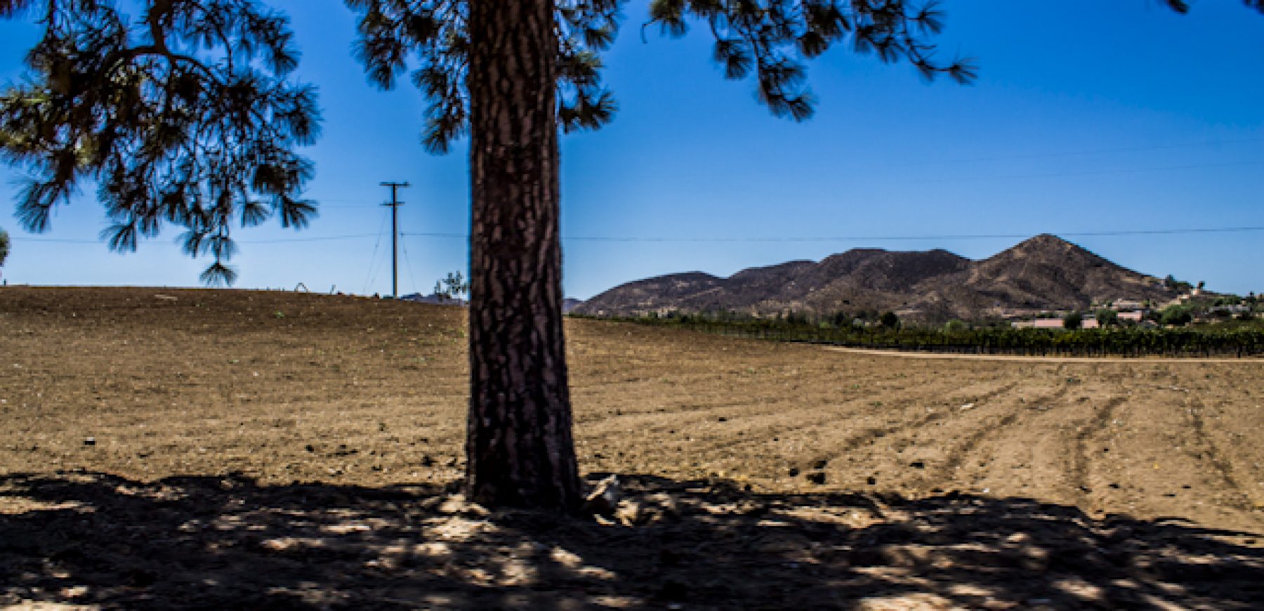 New-location-pics-178-of-243