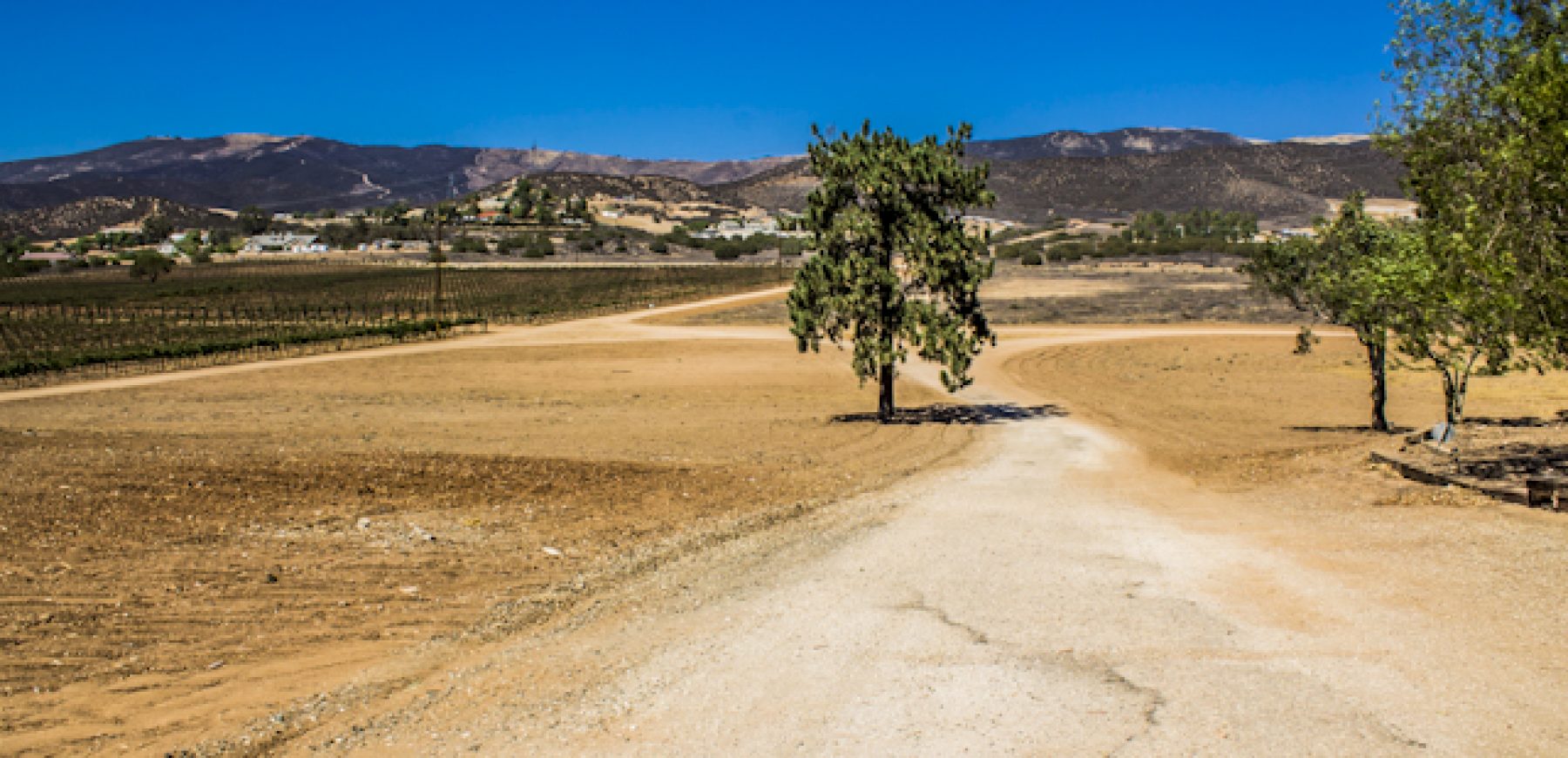 New-location-pics-195-of-243