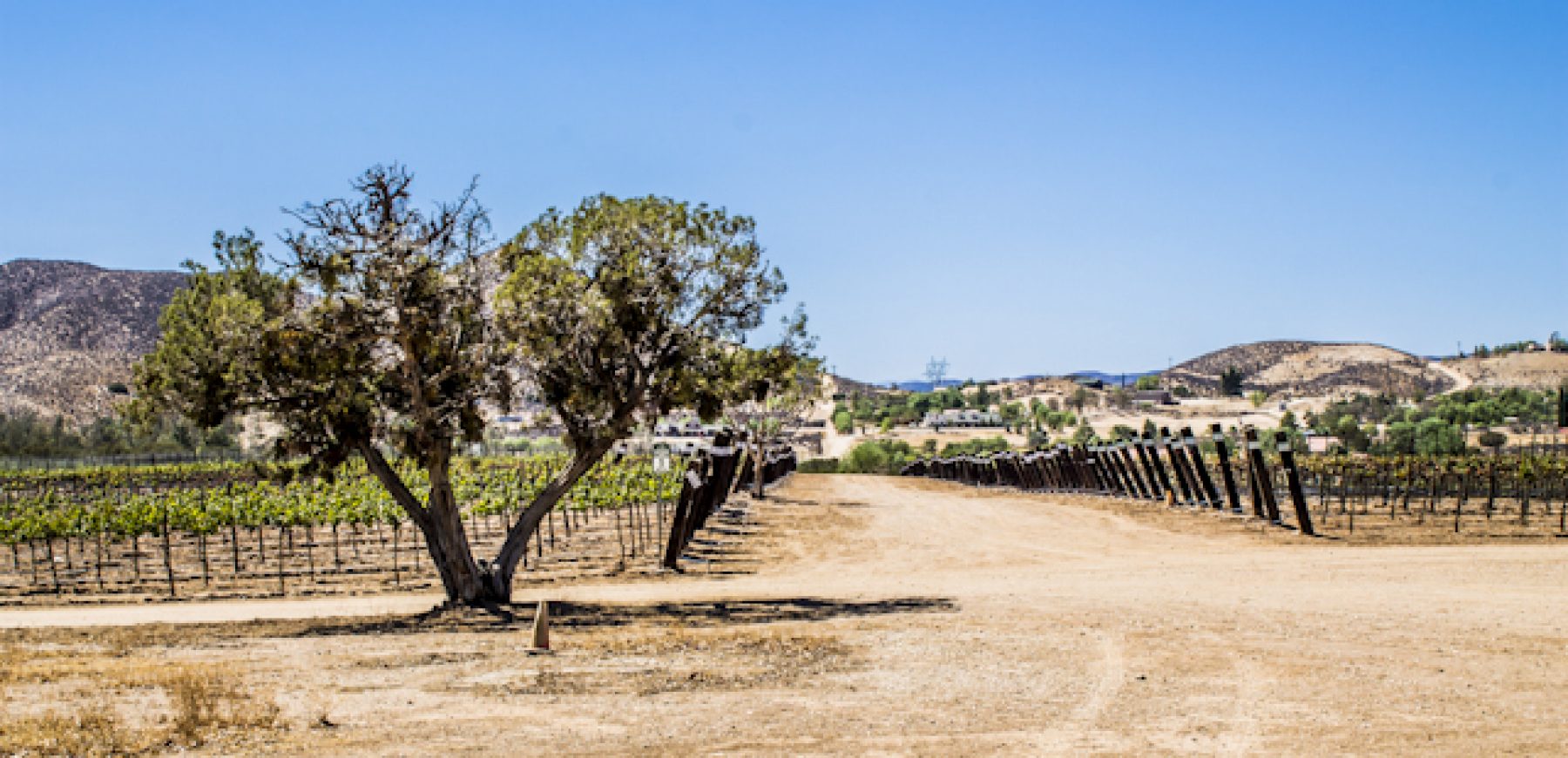 New-location-pics-206-of-243