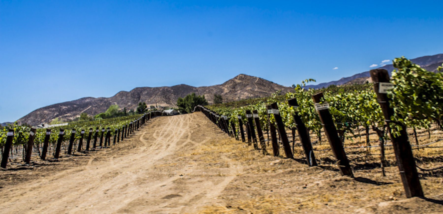 New-location-pics-216-of-243