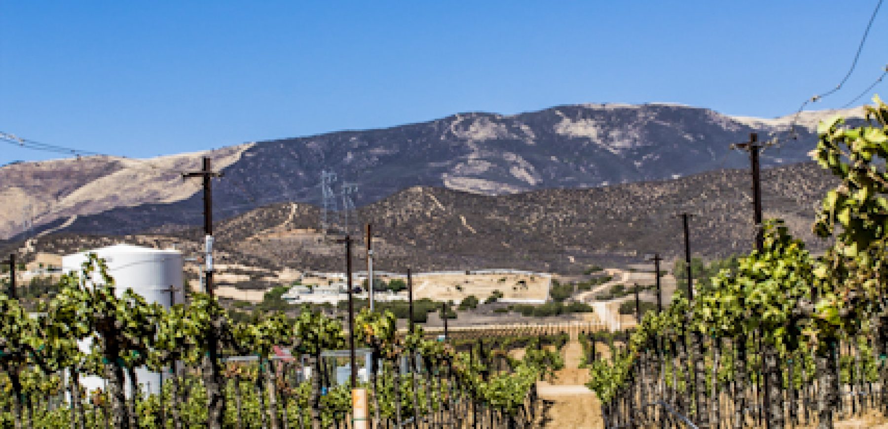 New-location-pics-220-of-243