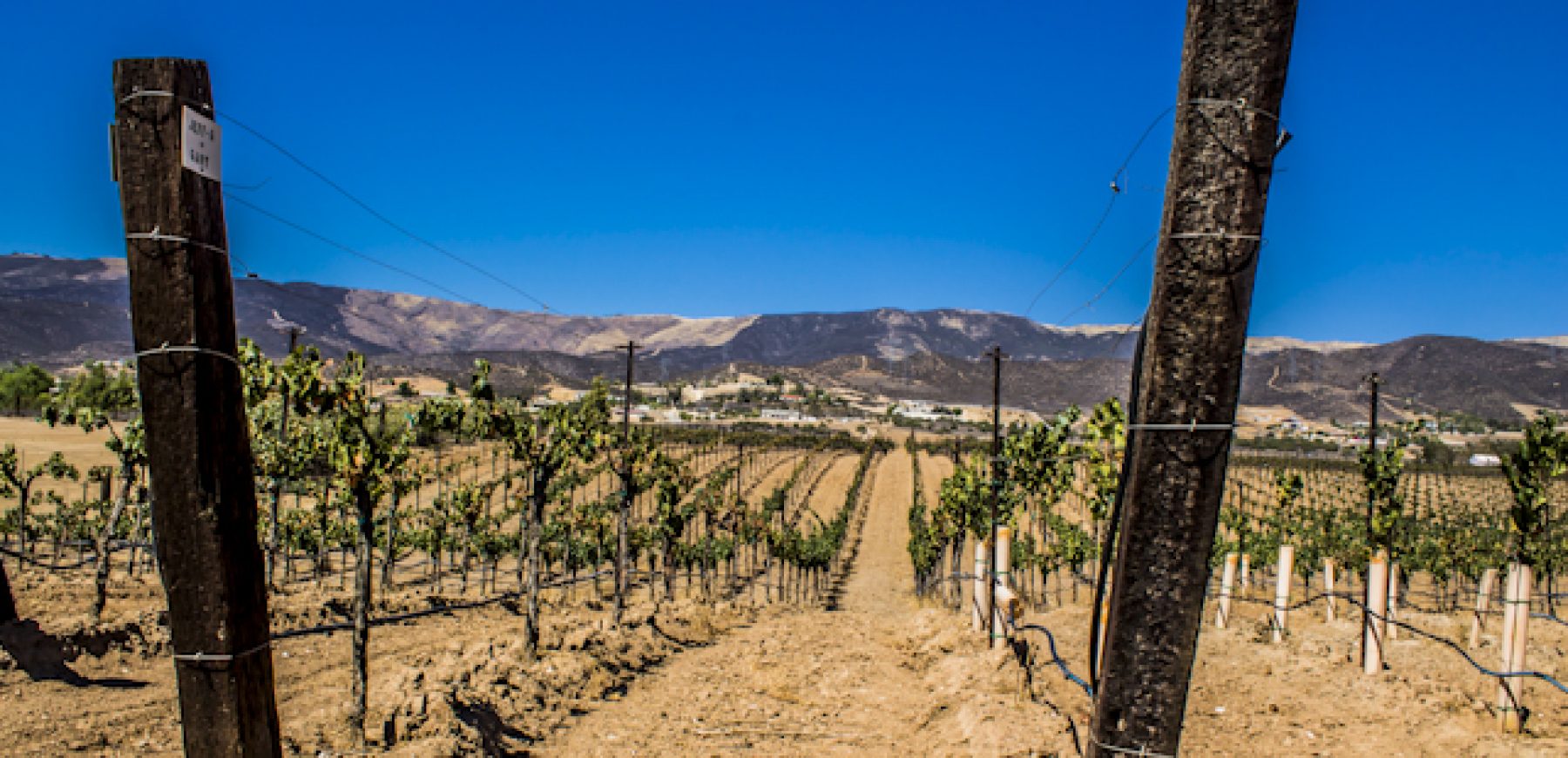 New-location-pics-221-of-243