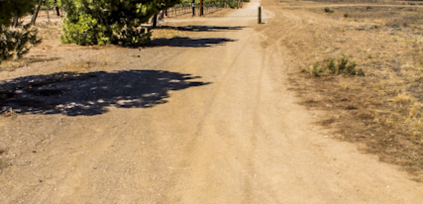 New-location-pics-230-of-243