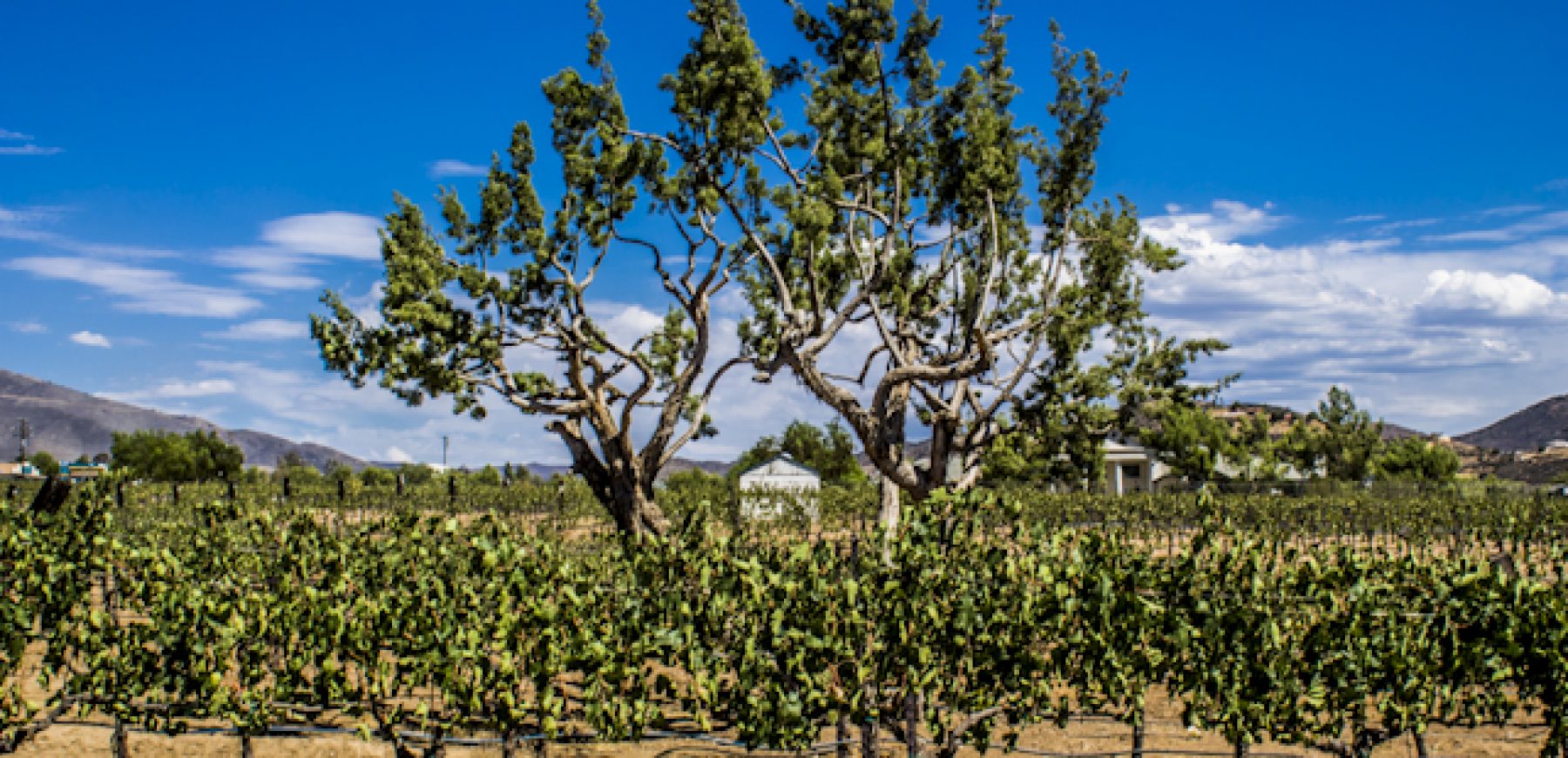 New-location-pics-237-of-243