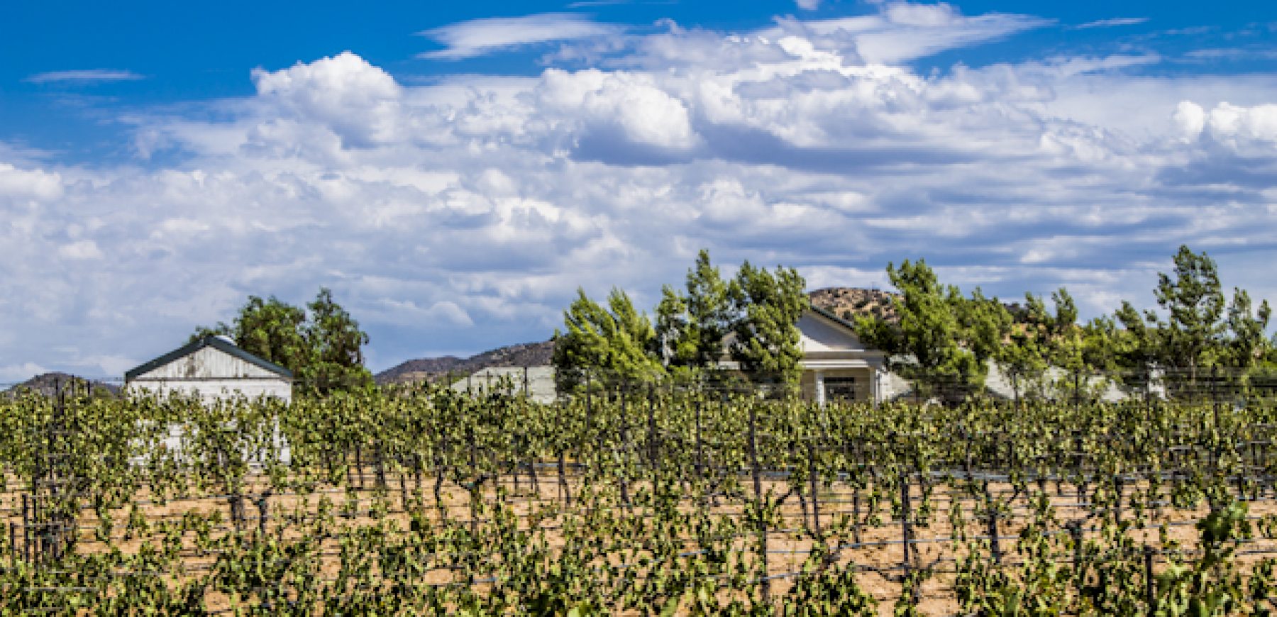 New-location-pics-241-of-243