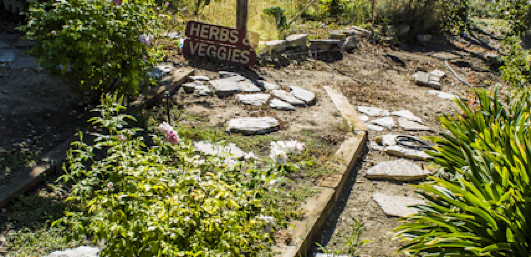 New-location-pics-55-of-243