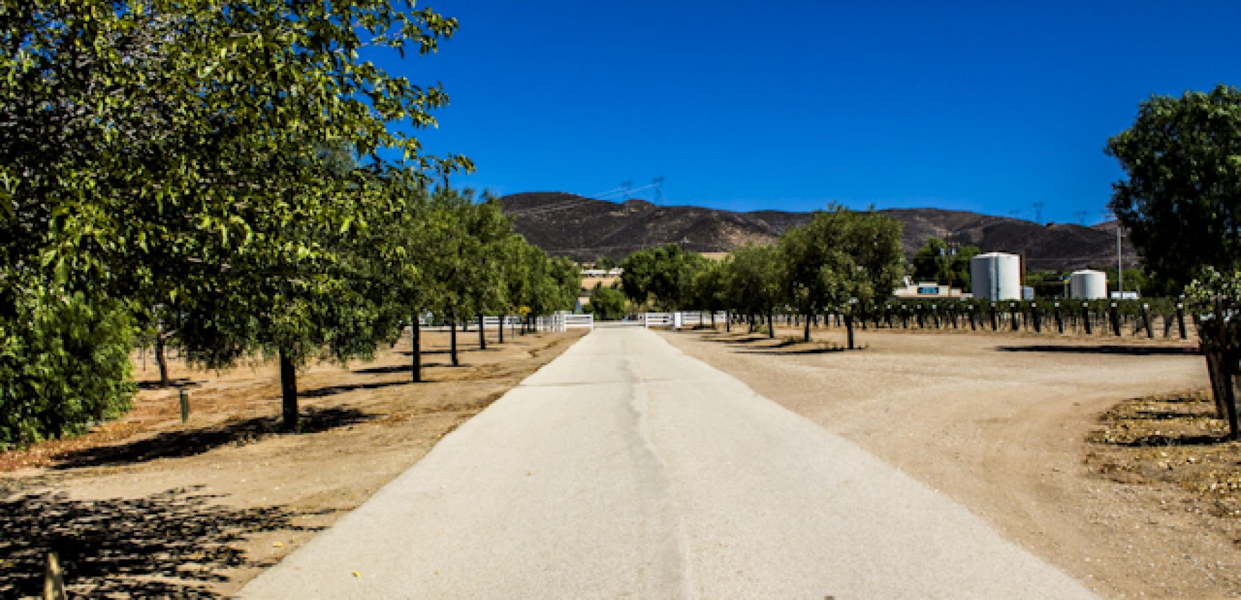 New-location-pics-64-of-243
