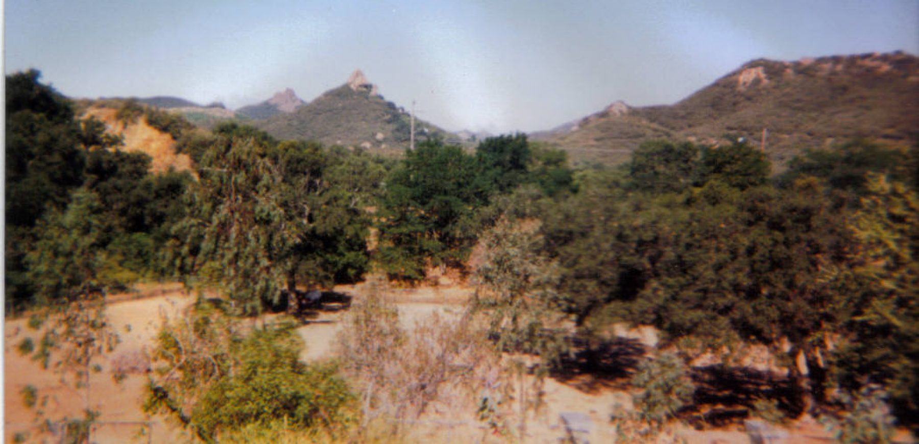 North1