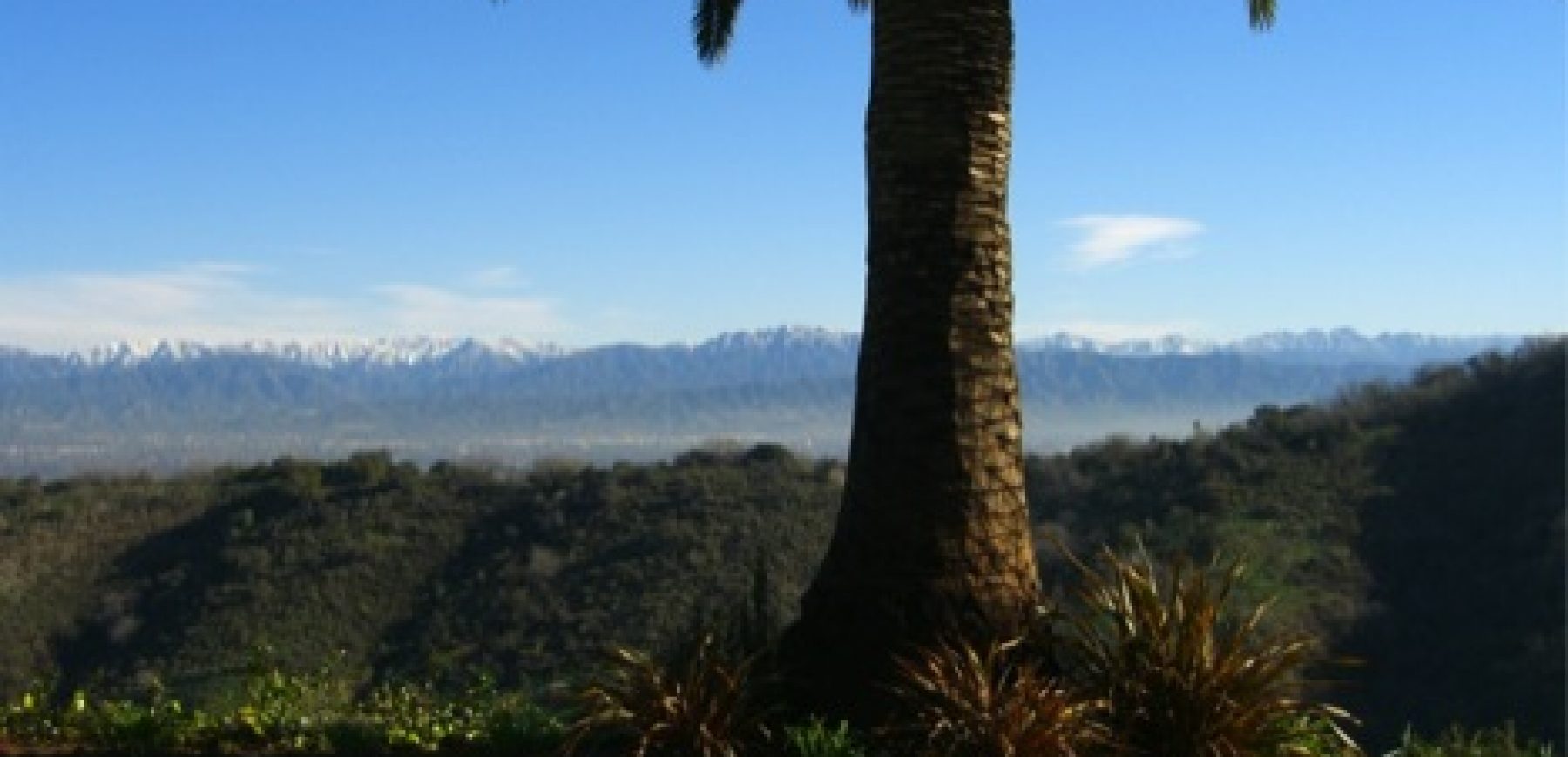 Rich-David-Sherview-Backyard-North-View-1