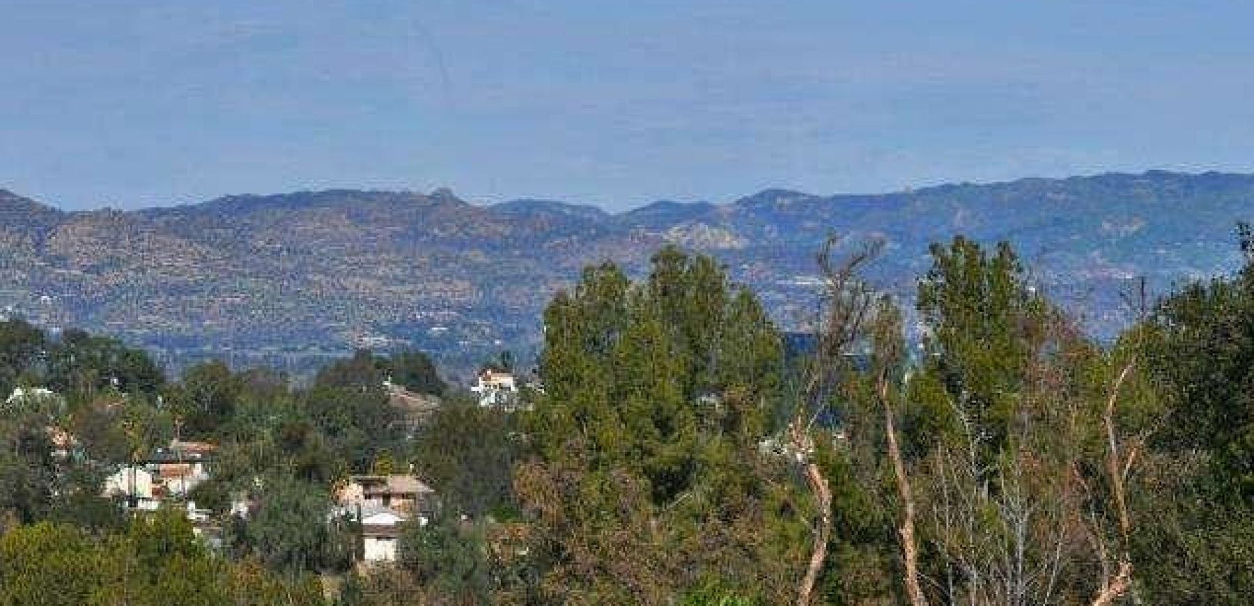 View-1