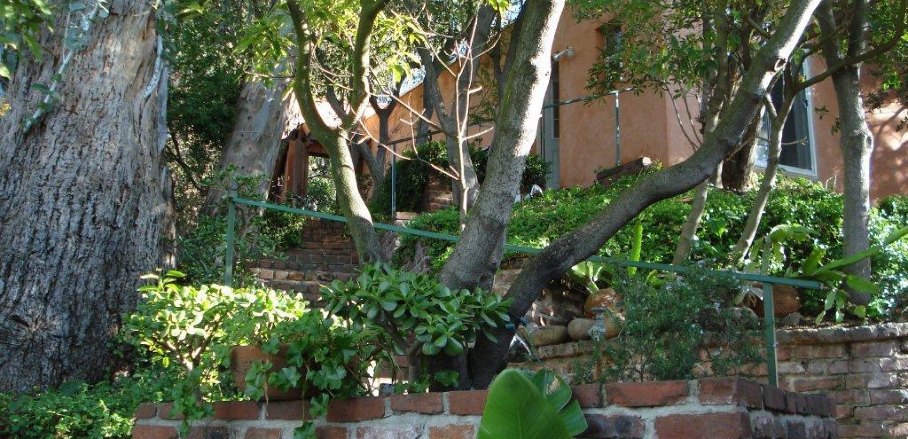 View-from-house-back-to-garage