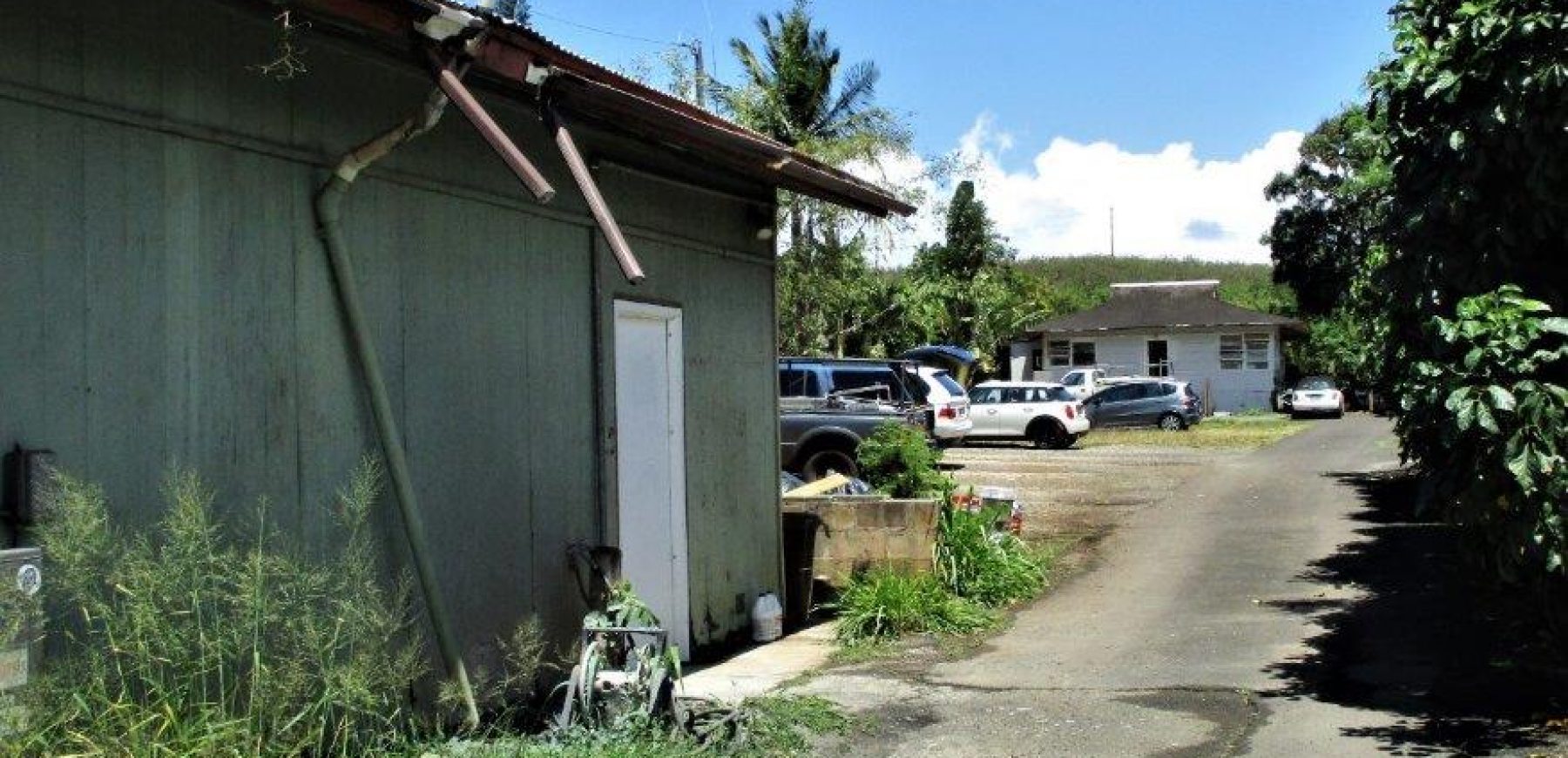 Wong-Haleiwa-5