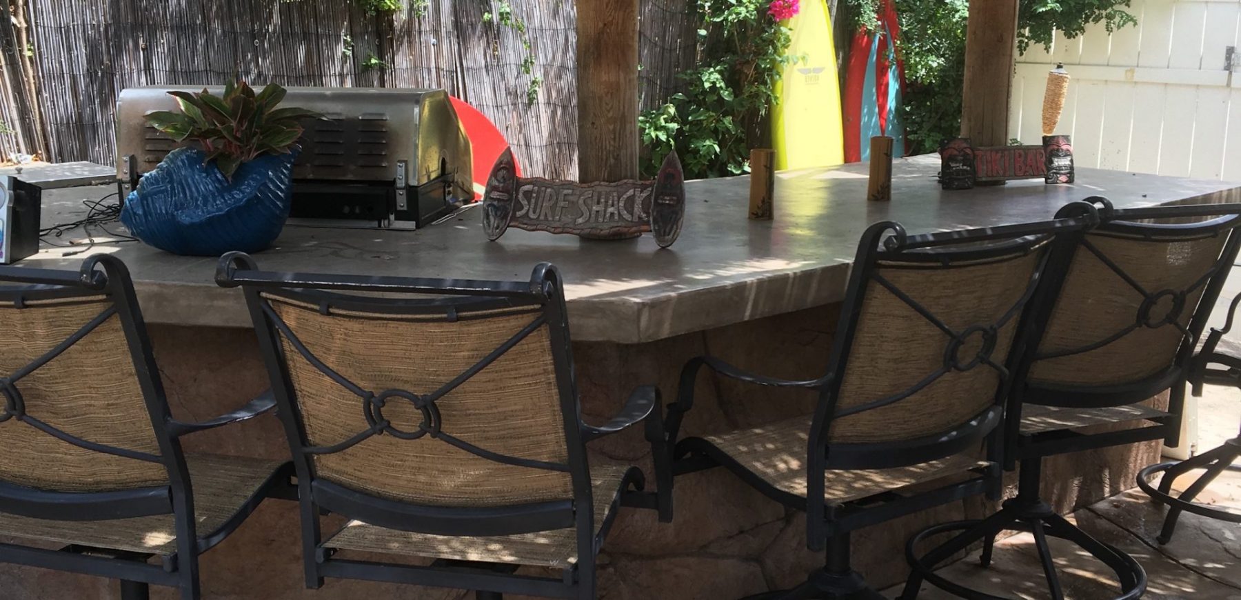 backyard1