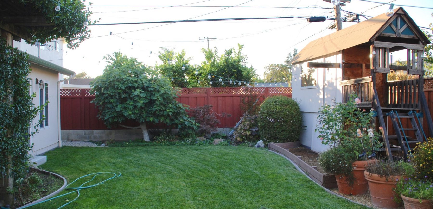 backyard3