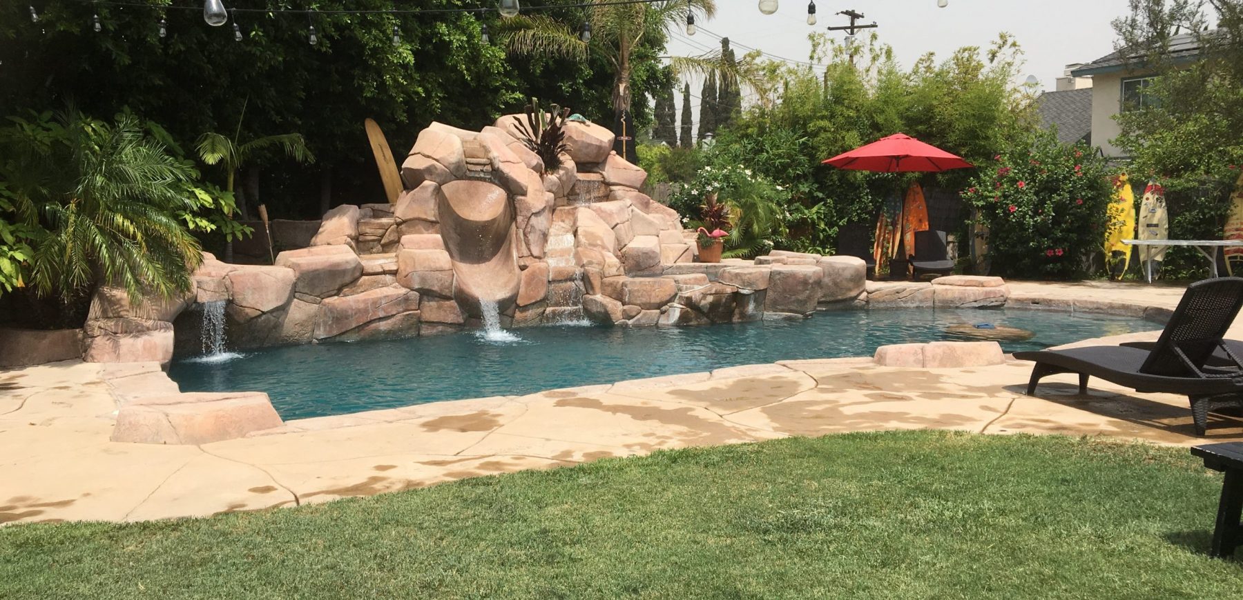 backyard4