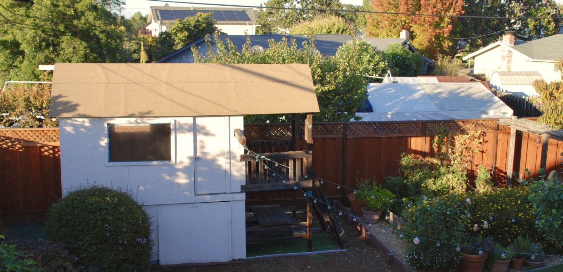 backyard4