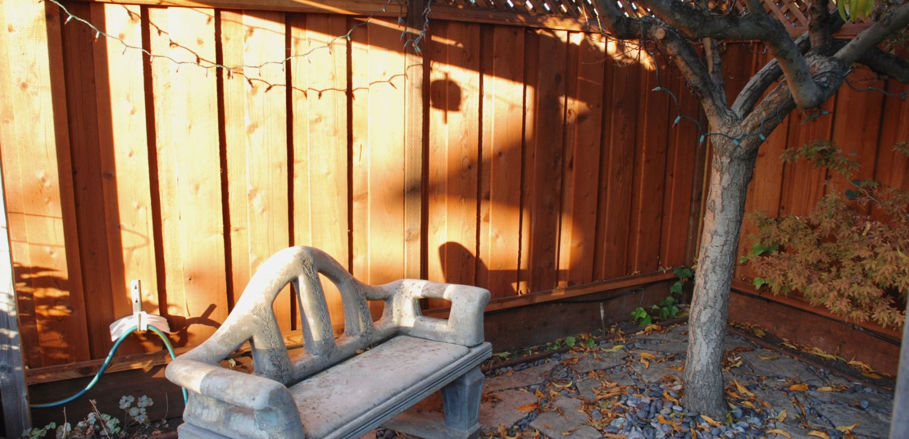 backyard7
