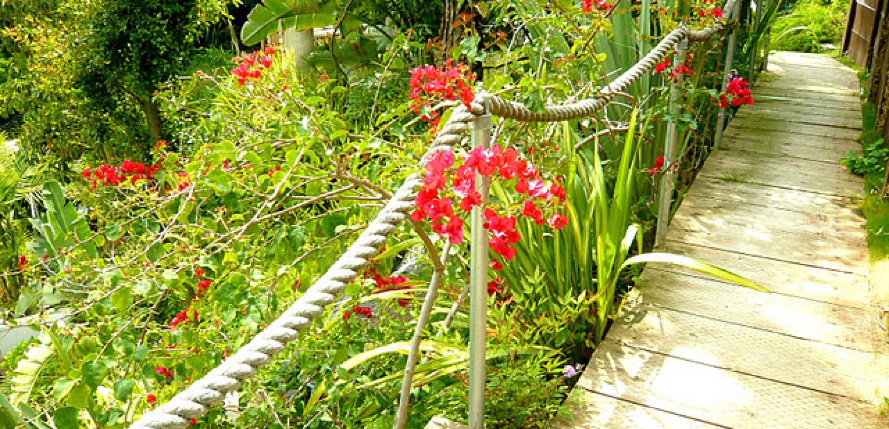 deck