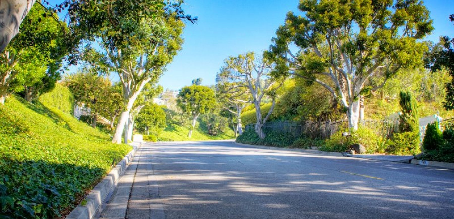 driveway3