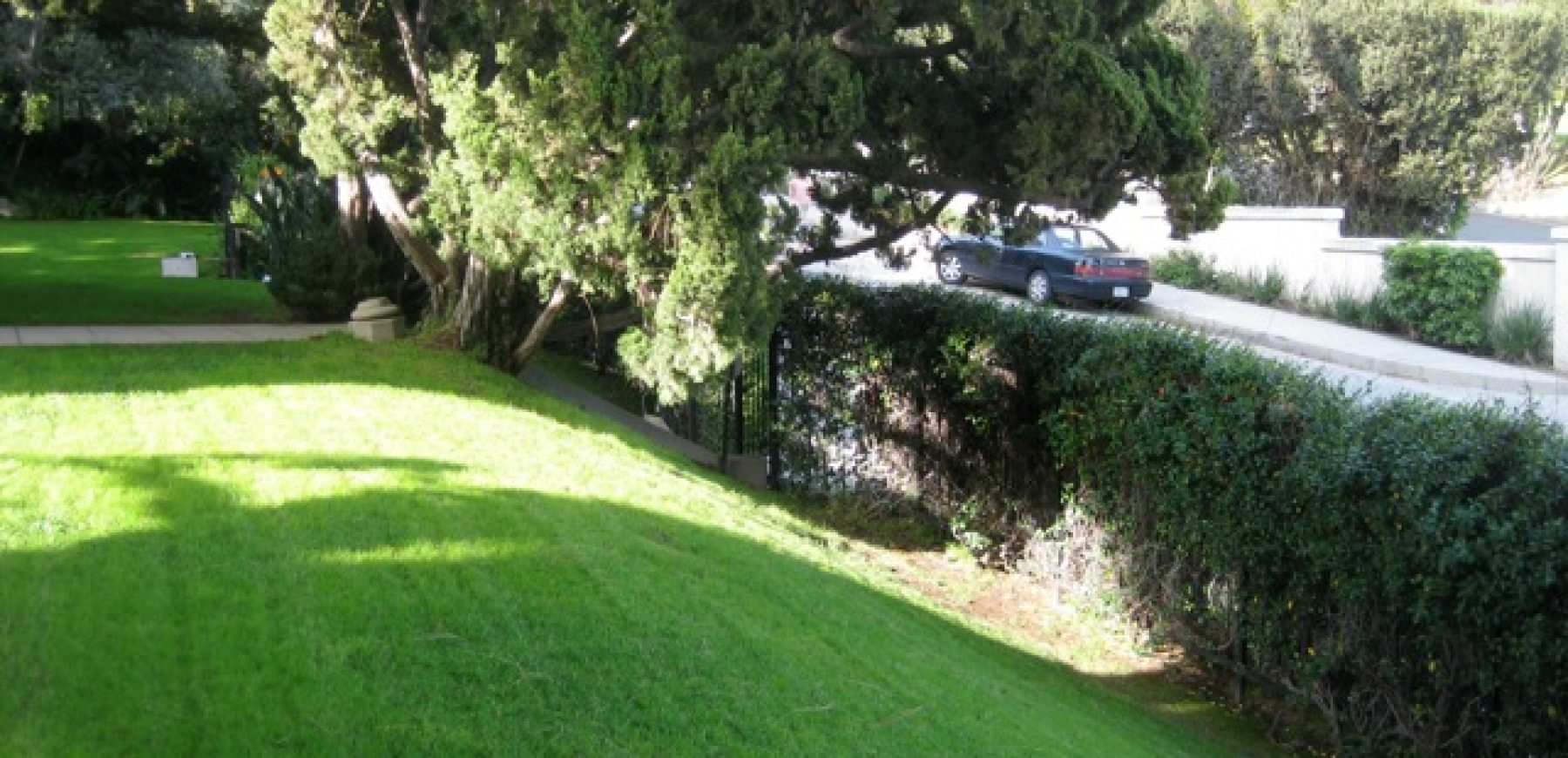 front-yard