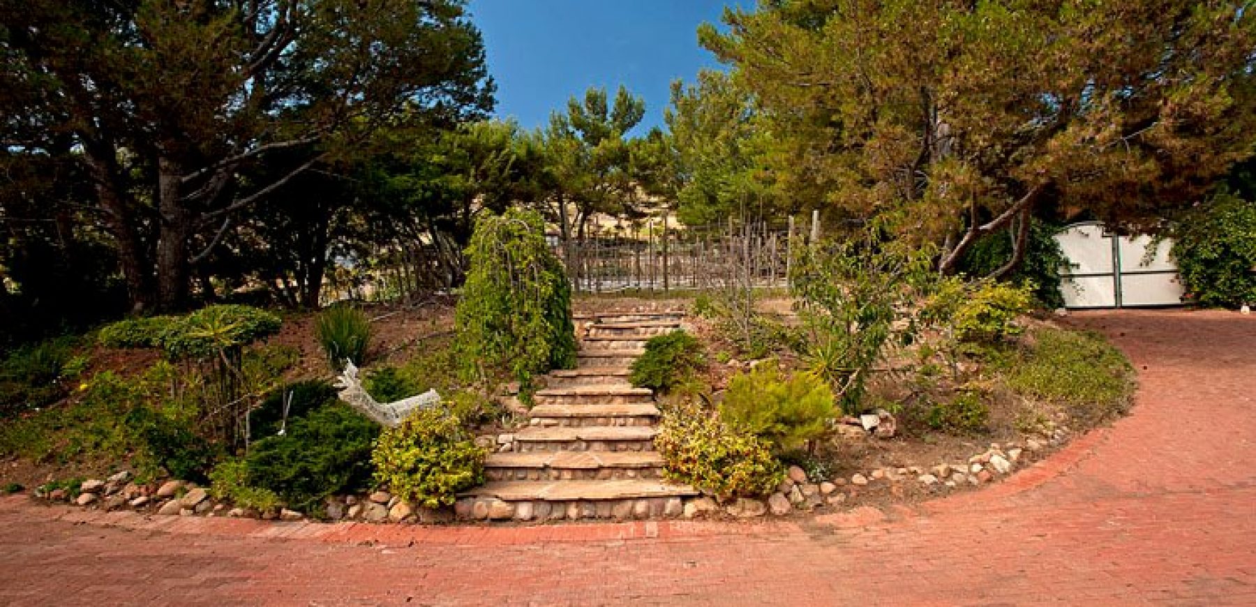 garden