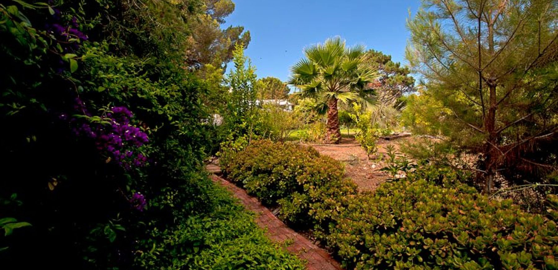 garden2