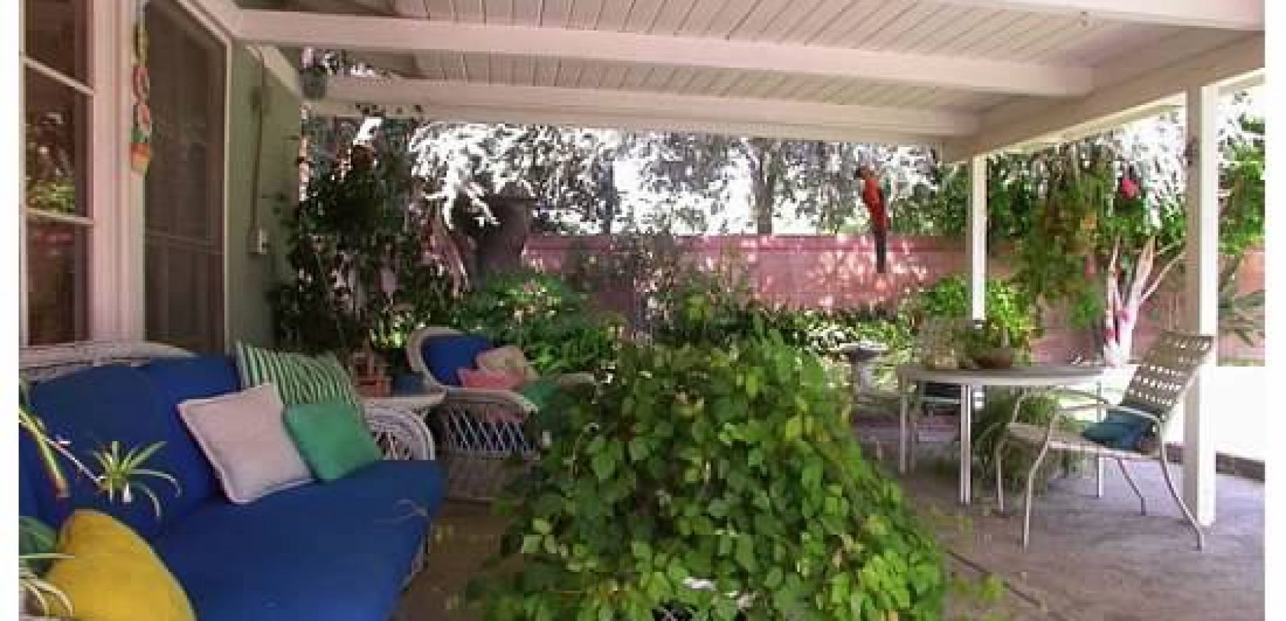 patio1
