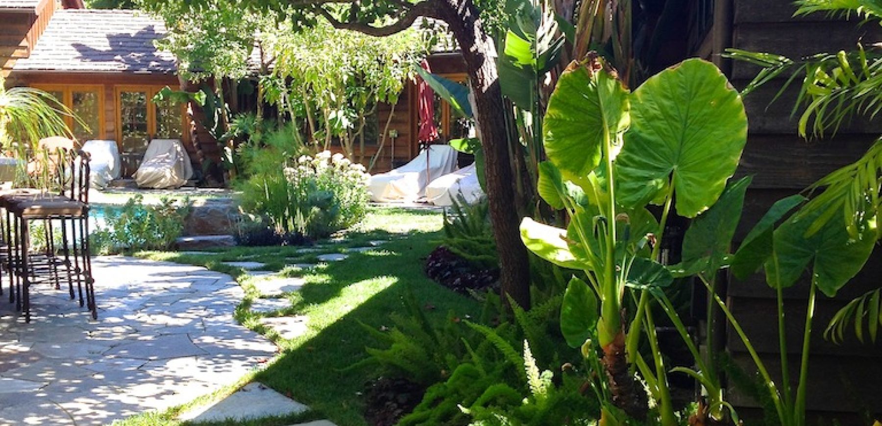 photo1