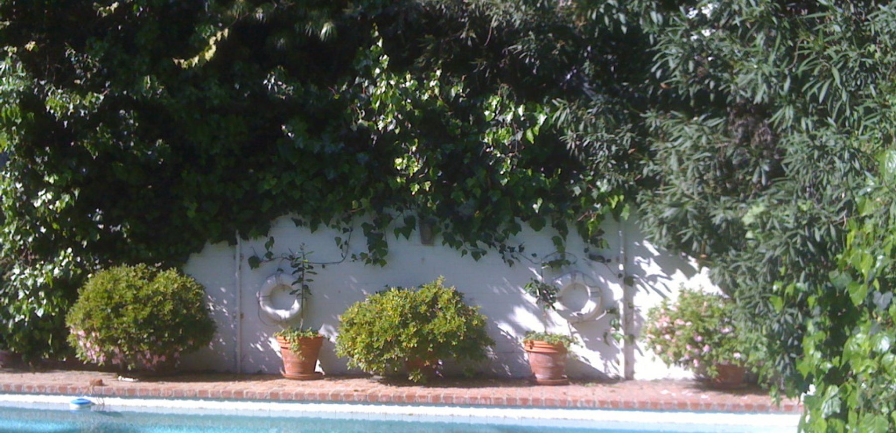pool-2