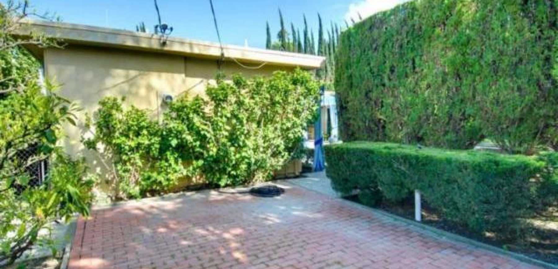 side-yard