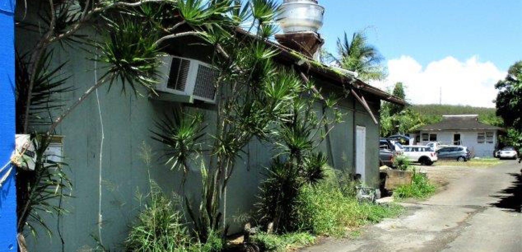 thumbnail_Wong-Haleiwa-2
