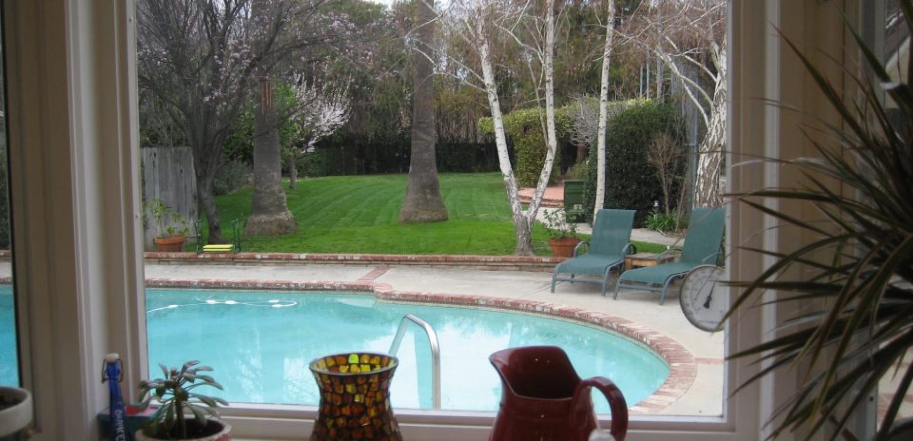 yard-from-window