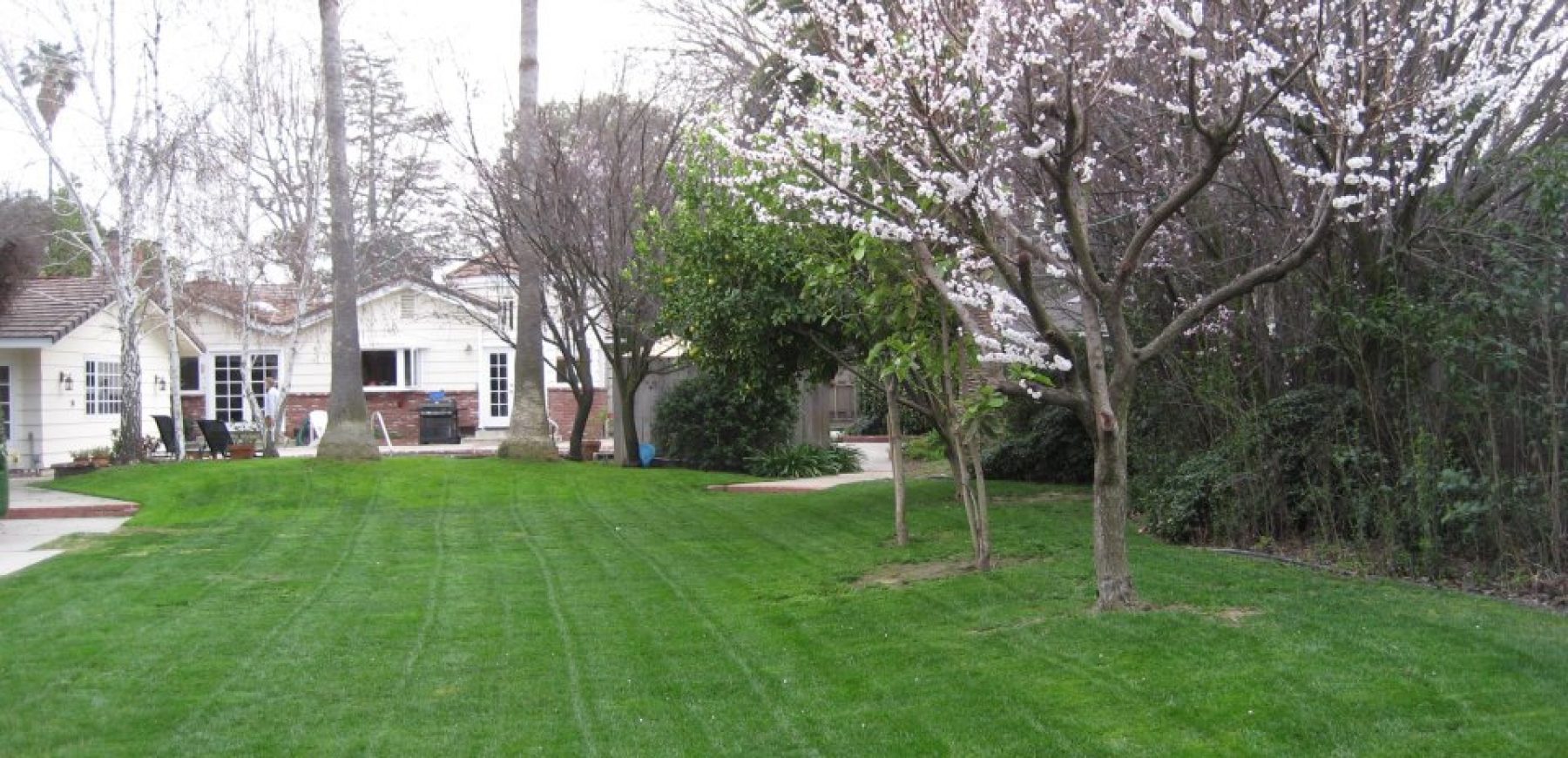 yard1