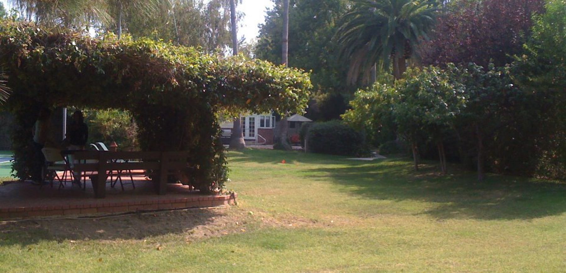 yard2