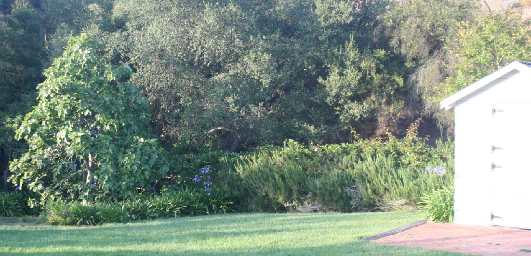 yard3